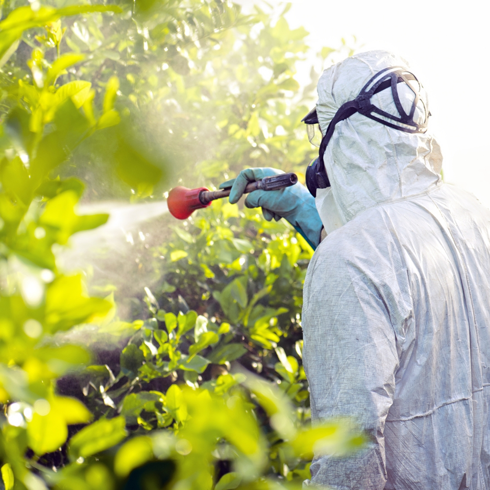 homemdevidamentequipadoregandopesticidaemplantas homem devidamente equipado regando pesticida em plantas