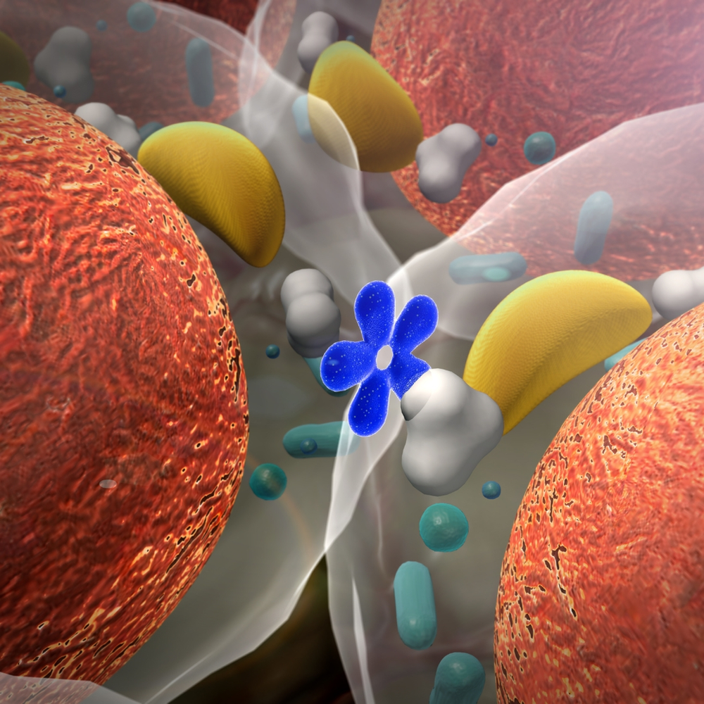 representação3ddeumprocessohormonaloorganismo representação 3d de um processo hormonal no organismo